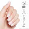 imageOPI xPRESSON Press on Nails  Short Round Classic Shape Nail Art  Light to Neutral Colors  30 Count With Glue  Instant GelLike Salon Manicure  Long Lasting Reusable NondamagingFrench Press