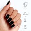 imageOPI xPRESSON Press on Nails  Short Round Classic Shape Nail Art  Dark Colors  30 Count With Glue  Instant GelLike Salon Manicure  Long Lasting Reusable NondamagingBlack Onyx