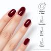 imageOPI xPRESSON Press on Nails  Short Round Classic Shape Nail Art  Dark Colors  30 Count With Glue  Instant GelLike Salon Manicure  Long Lasting Reusable NondamagingMalaga Wine