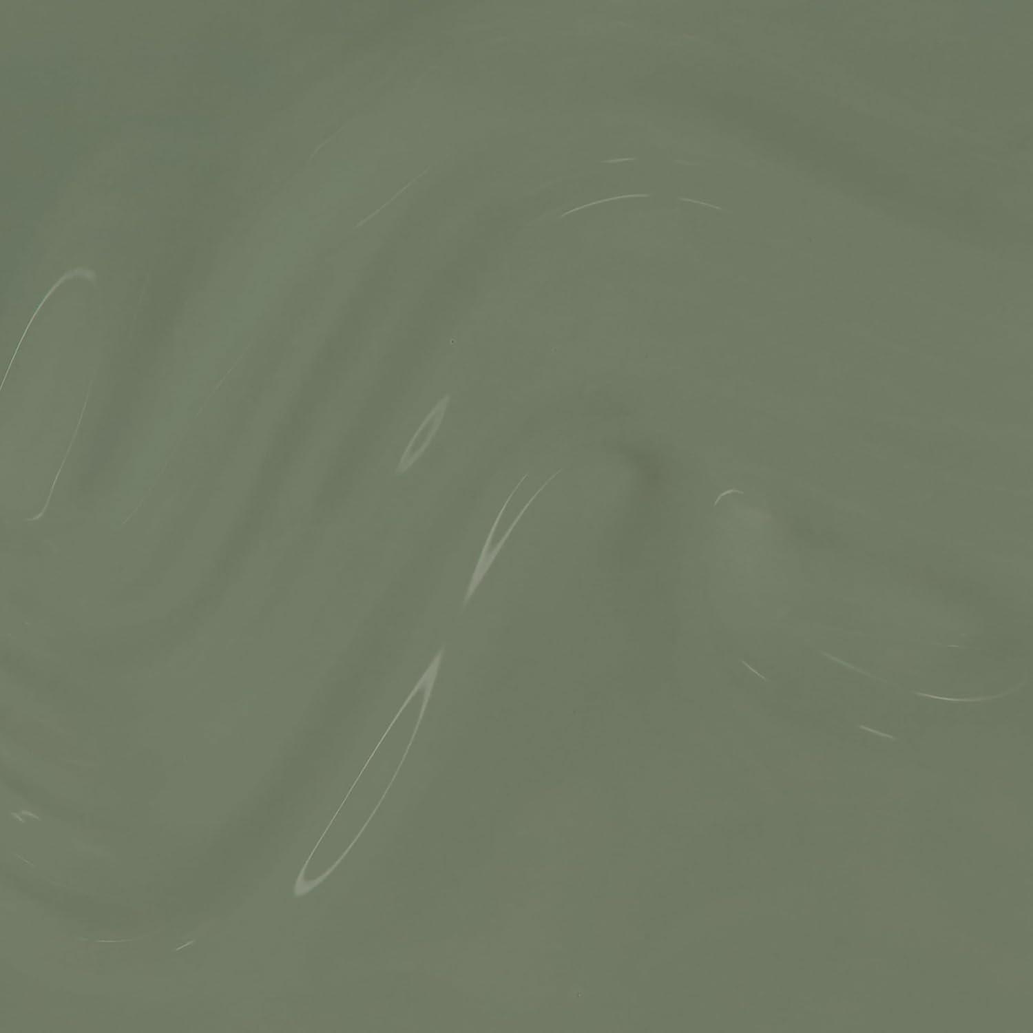 imageOPI Nail Lacquer Nail Polish  Opaque Crme and Sheer Nail Polish Shades  Fast Drying Streak Free and Chip Resistant Wear  Whats Your Manitude  Fall 2025Cargo All Out  Opaque Cool Army Green