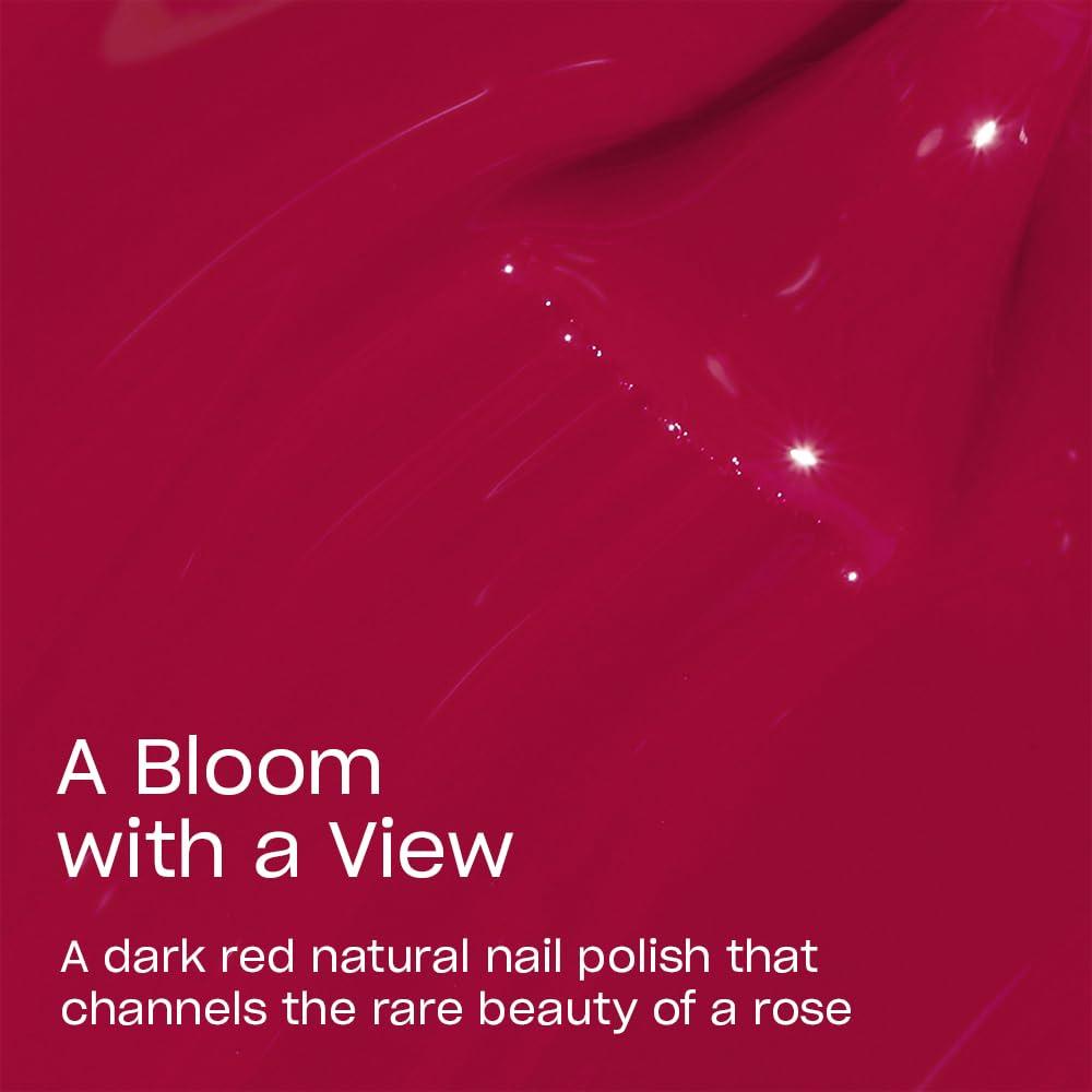 imageOPI Nature Strong Natural Origin 3Step System  Botanical Base Coat Top Coat and Various Nail Polish Colors  High Shine  Color Protection  EcoFriendly Plant Based Vegan ampamp Cruelty FreeBloom with a View