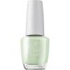 Sage It for Later | Opaque Soft Cool Light Green Sage It for Later | Opaque Soft Cool Light Green