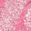 image:imageOPI Infinite Shine Nail Polish  Crme Buildable amp Shimmer NudePink Shades  Gellike Wear amp Shine  Vegan Long Lasting Streak FreePixel Dust  Opaque Warm Pearlescent Hot Pink with Shimmer